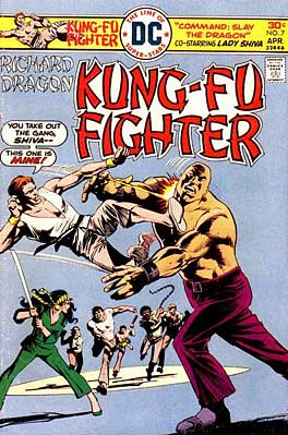 Richard Dragon Kung Fu Fighter